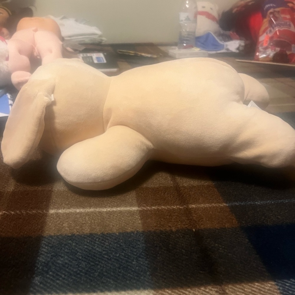 Bunny plushie